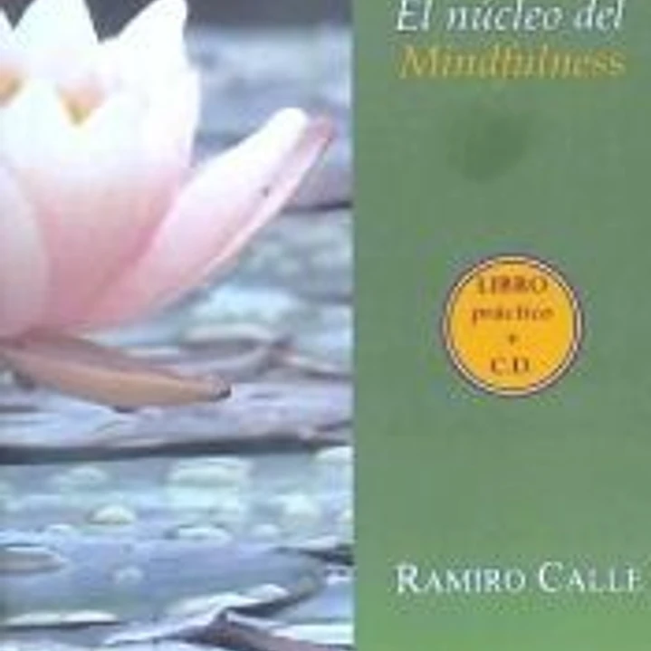 Meditación Vipassana : el núcleo del mindfulness 1