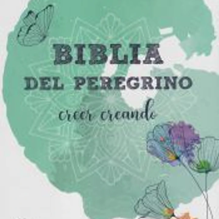 BIBLIA DEL PEREGRINO (ESTUCHE) 1