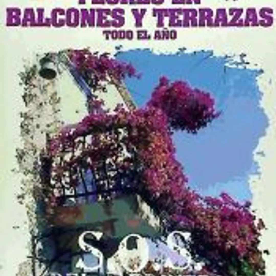FLORES EN BALCONES Y TERRAZAS 1