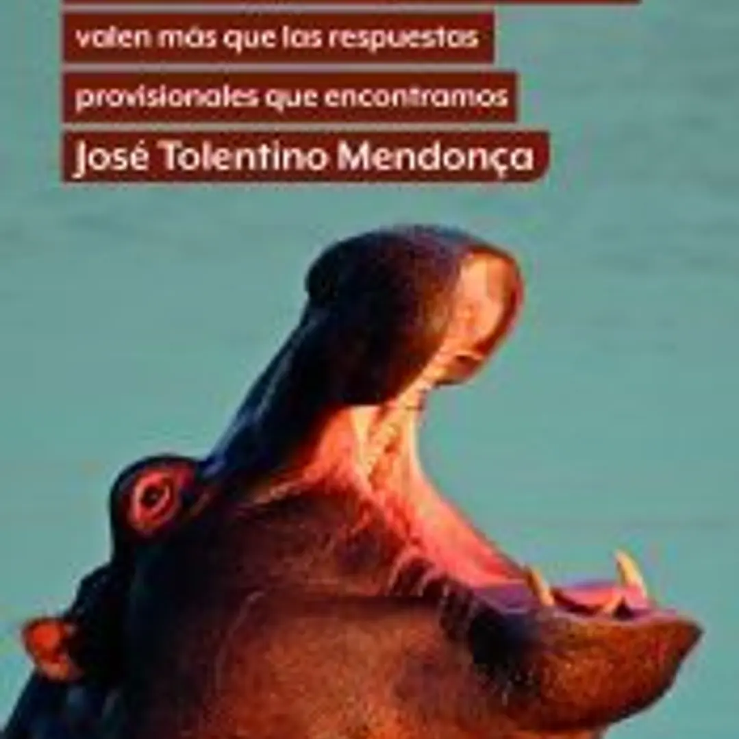 El hipopótamo de Dios 1