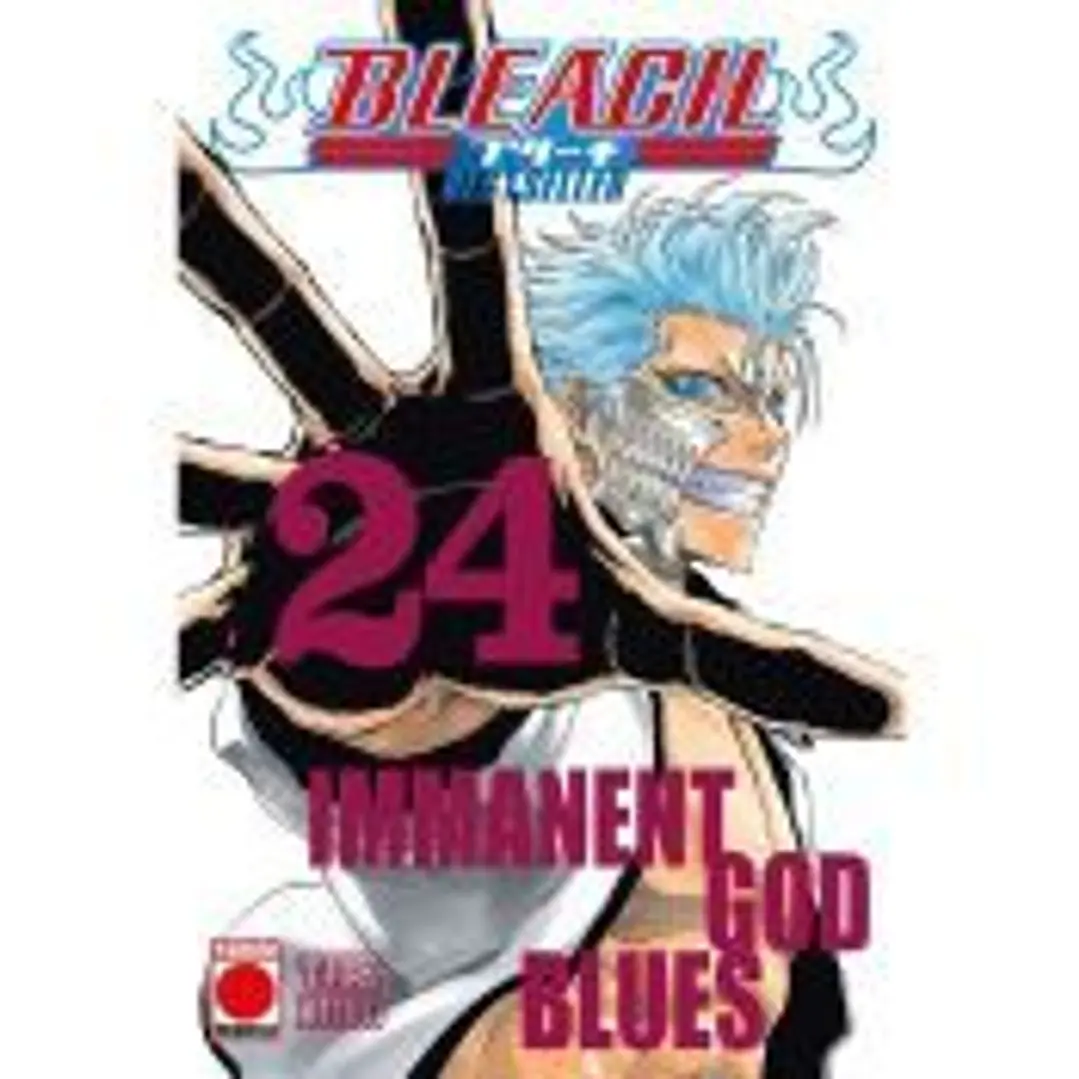 Bleach Bestseller 24 1