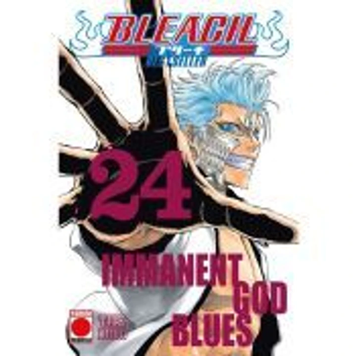 Bleach Bestseller 24 1