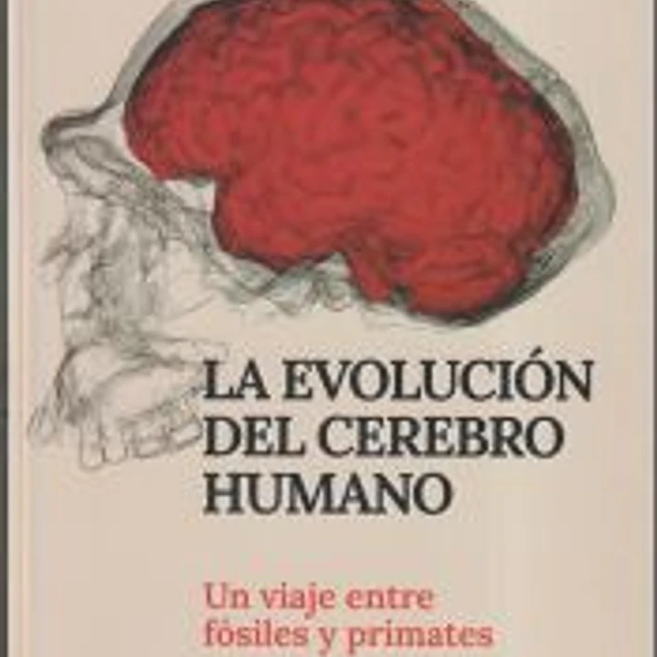 La evolución del cerebro humano 1