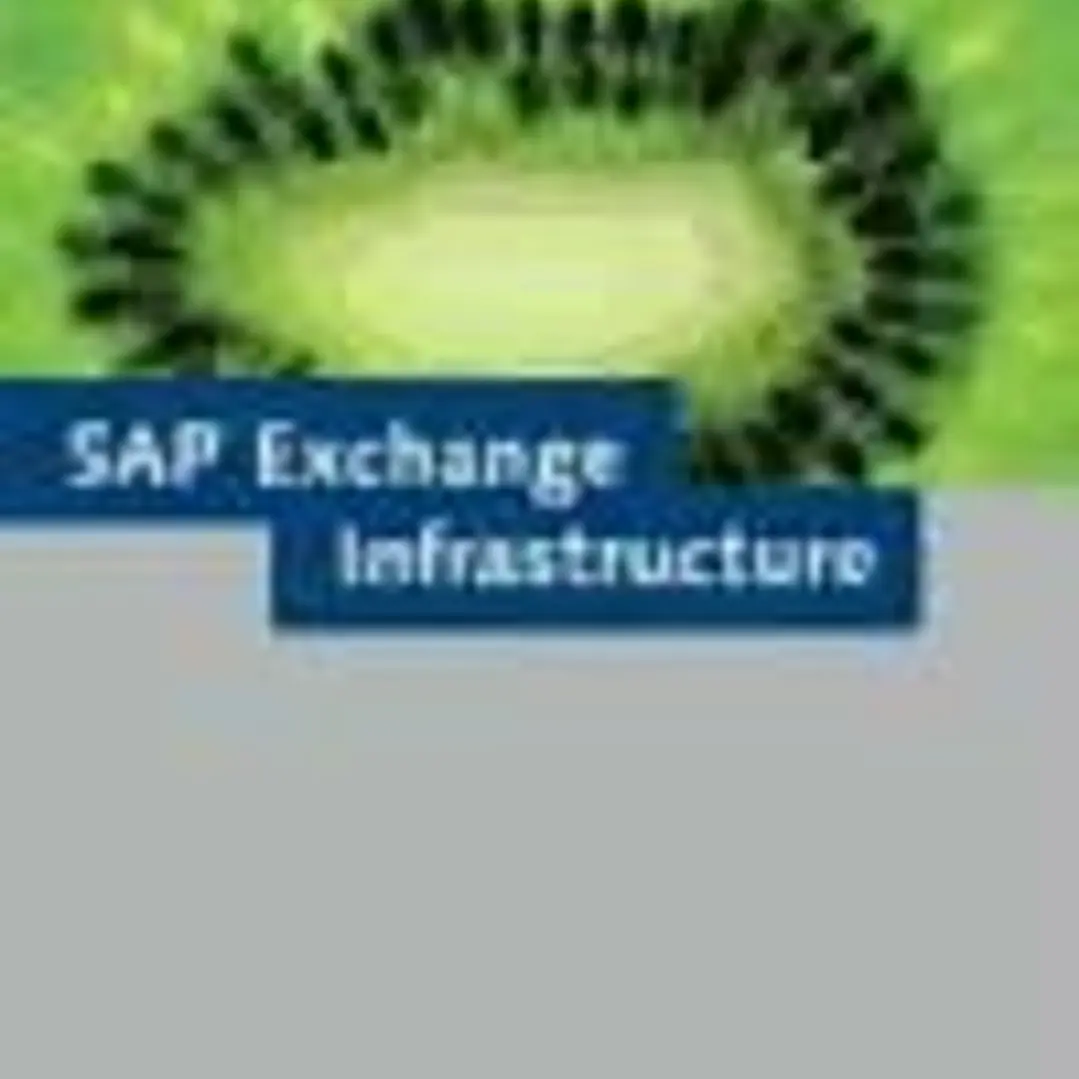 SAP Exchange Infrastructure 1