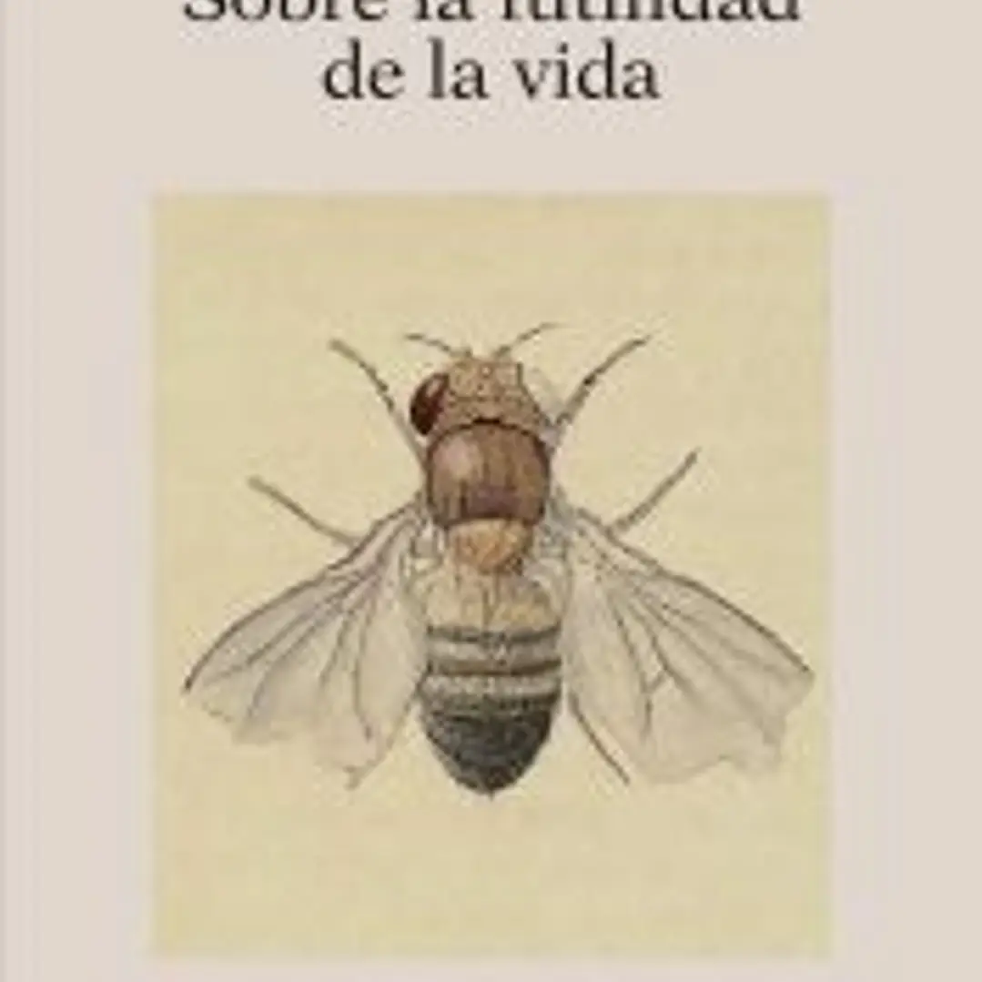 Sobre la futilidad de la vida 1