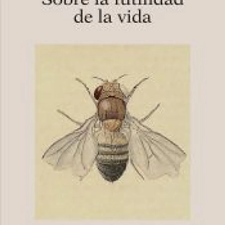 Sobre la futilidad de la vida 1