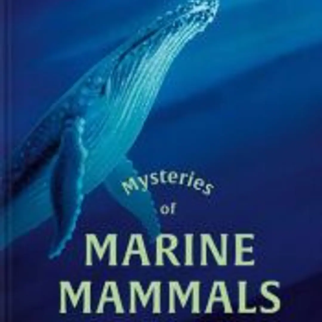 Mysteries of marine mammals 1