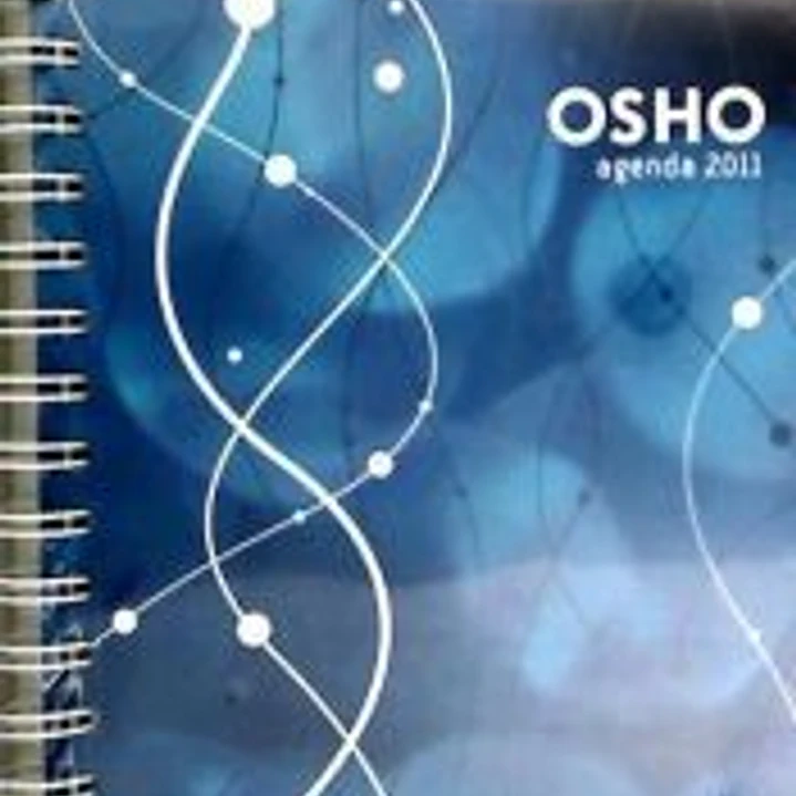 AGENDA OSHO 2011 1