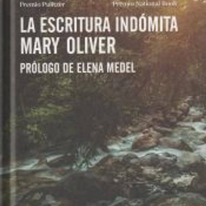La escritura indómita 1