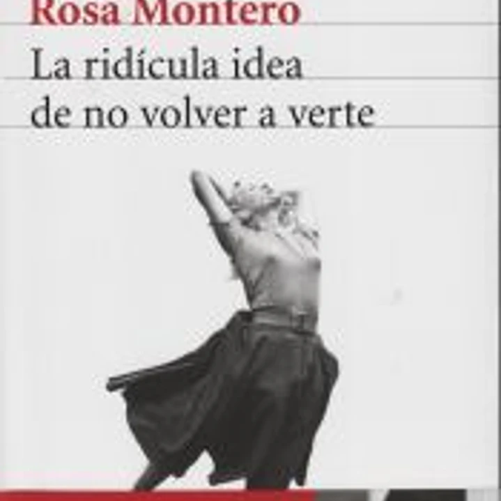 La ridícula idea de no volver a verte 1