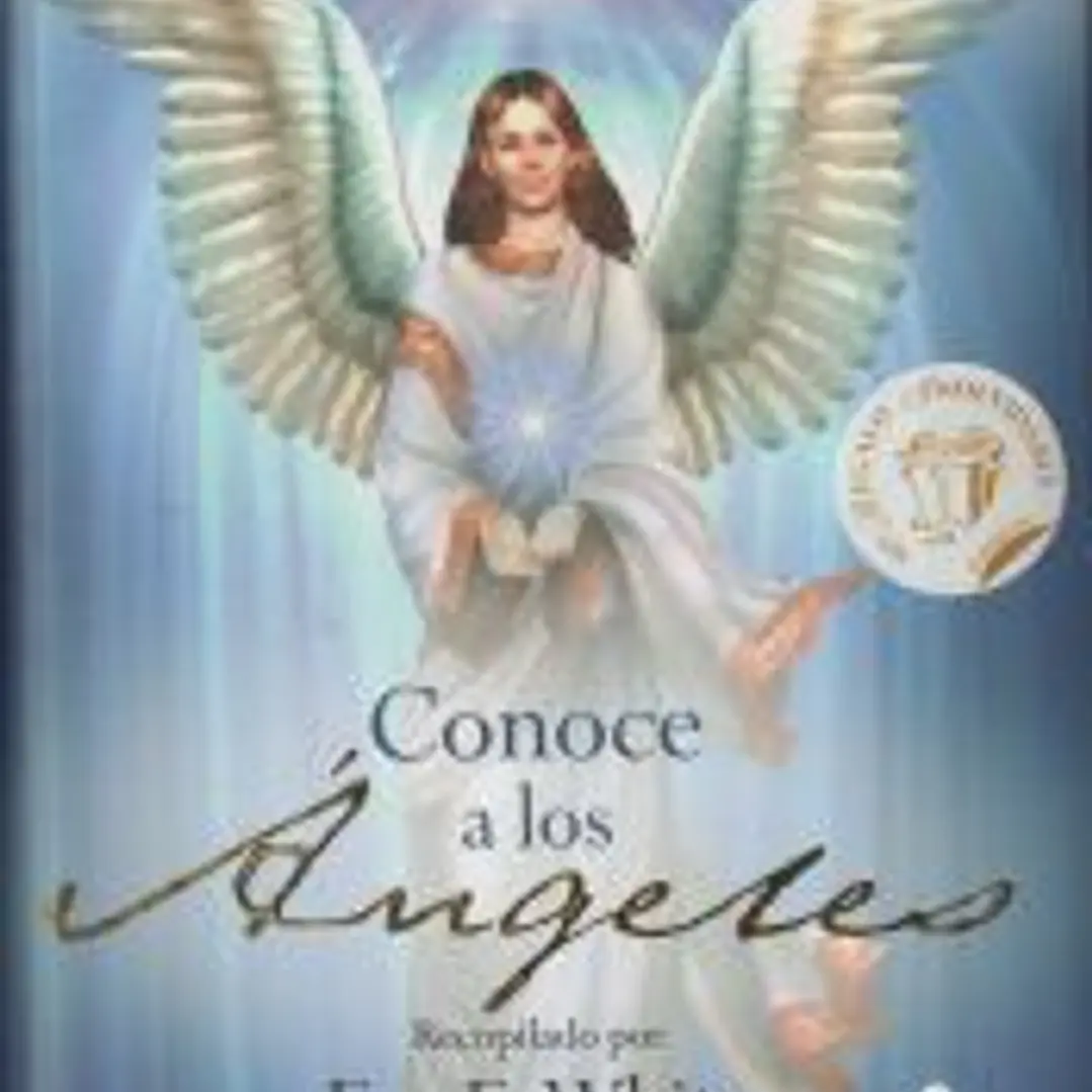 CONOCE A LOS ANGELES 1