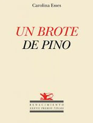 Un brote de pino