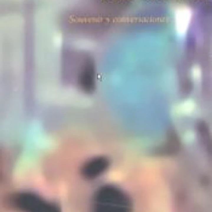 Caro Niederer. Souvenir y conversaciones 1