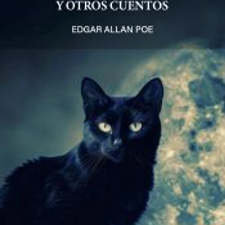 El gato negro y otros cuentos 1