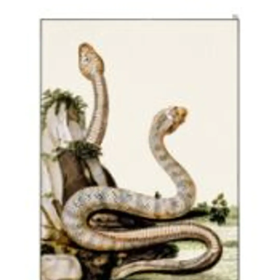 Una serpiente en Alemdag 1