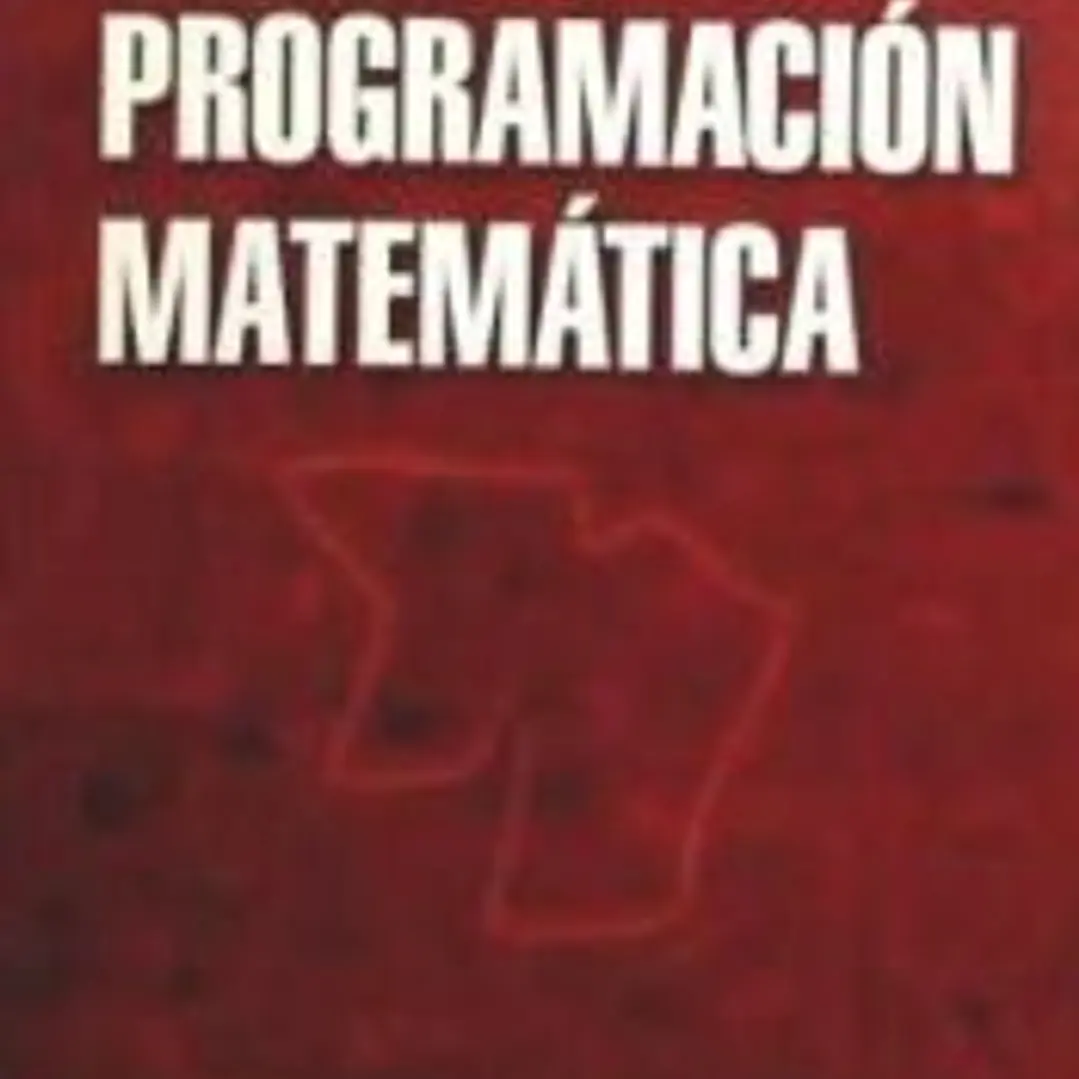 Programación matemática 1