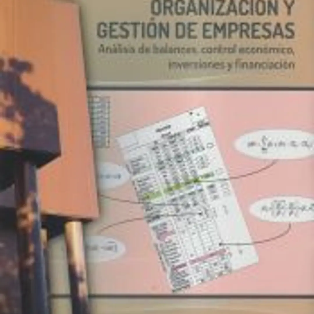 Organización y gestión de empresas 1
