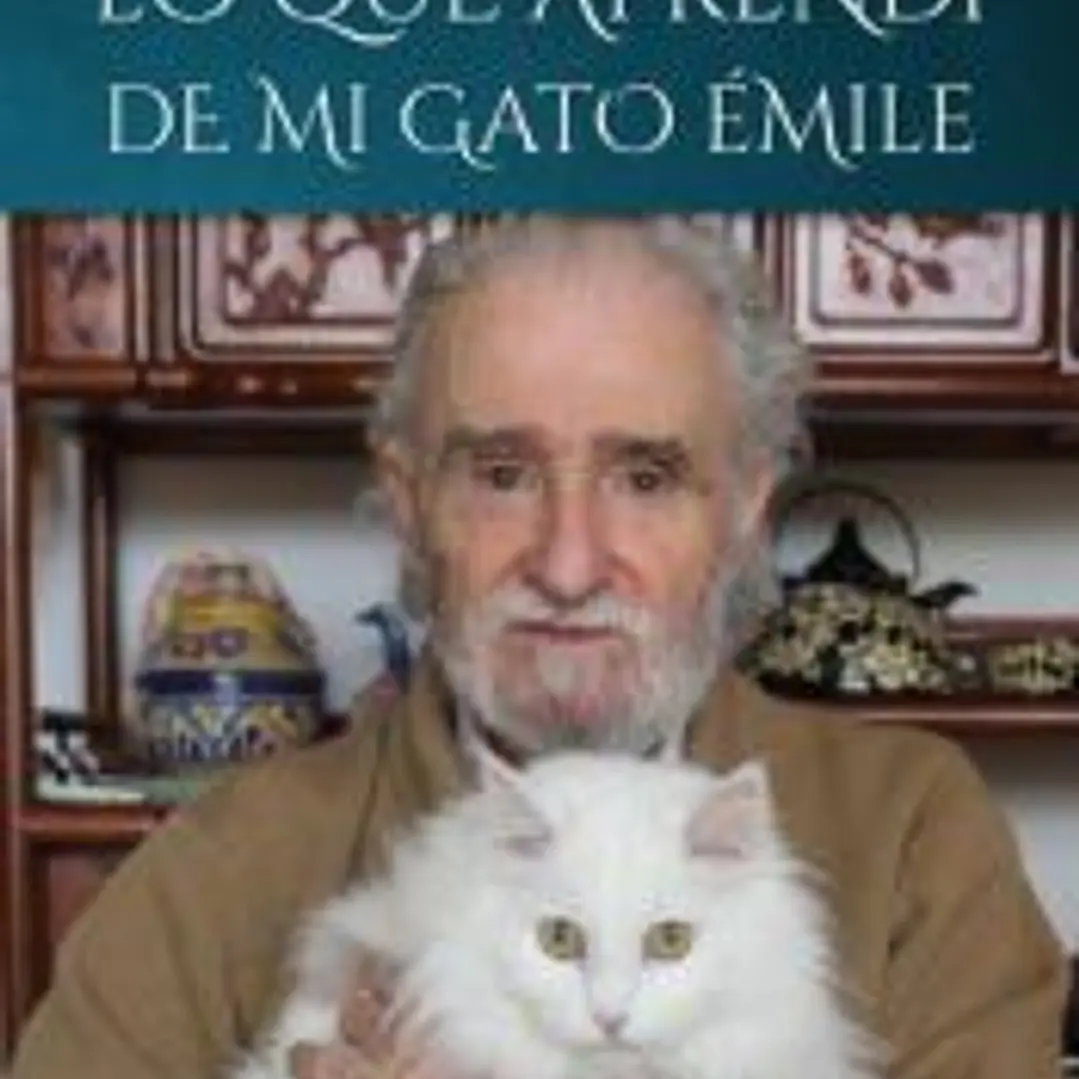 Lo que aprendí de mi gato Emile 1