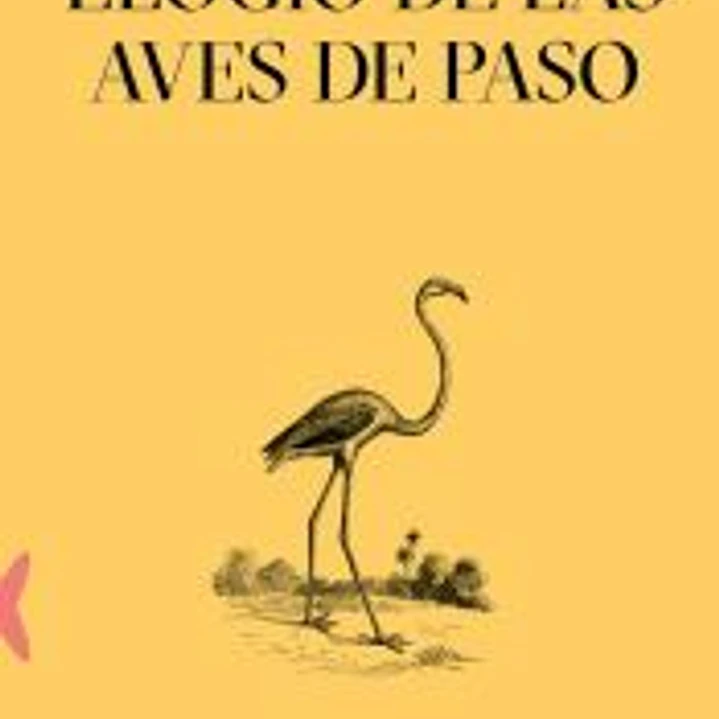 Elogio de las aves de paso 1