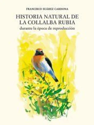 Historia Natural de la Collalba Rubia
