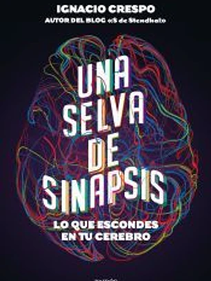 Una selva de sinapsis
