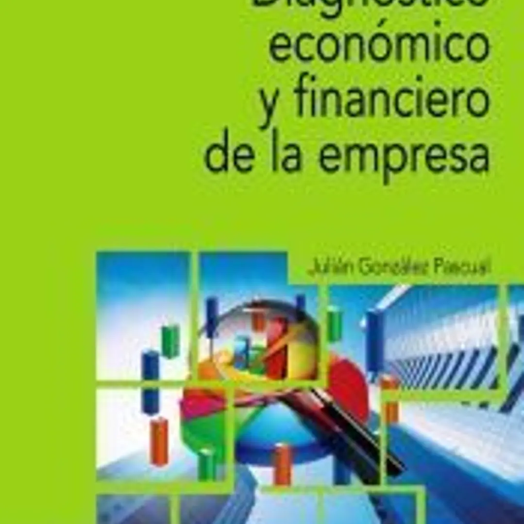 Diagnóstico económico y financiero de la empresa 1