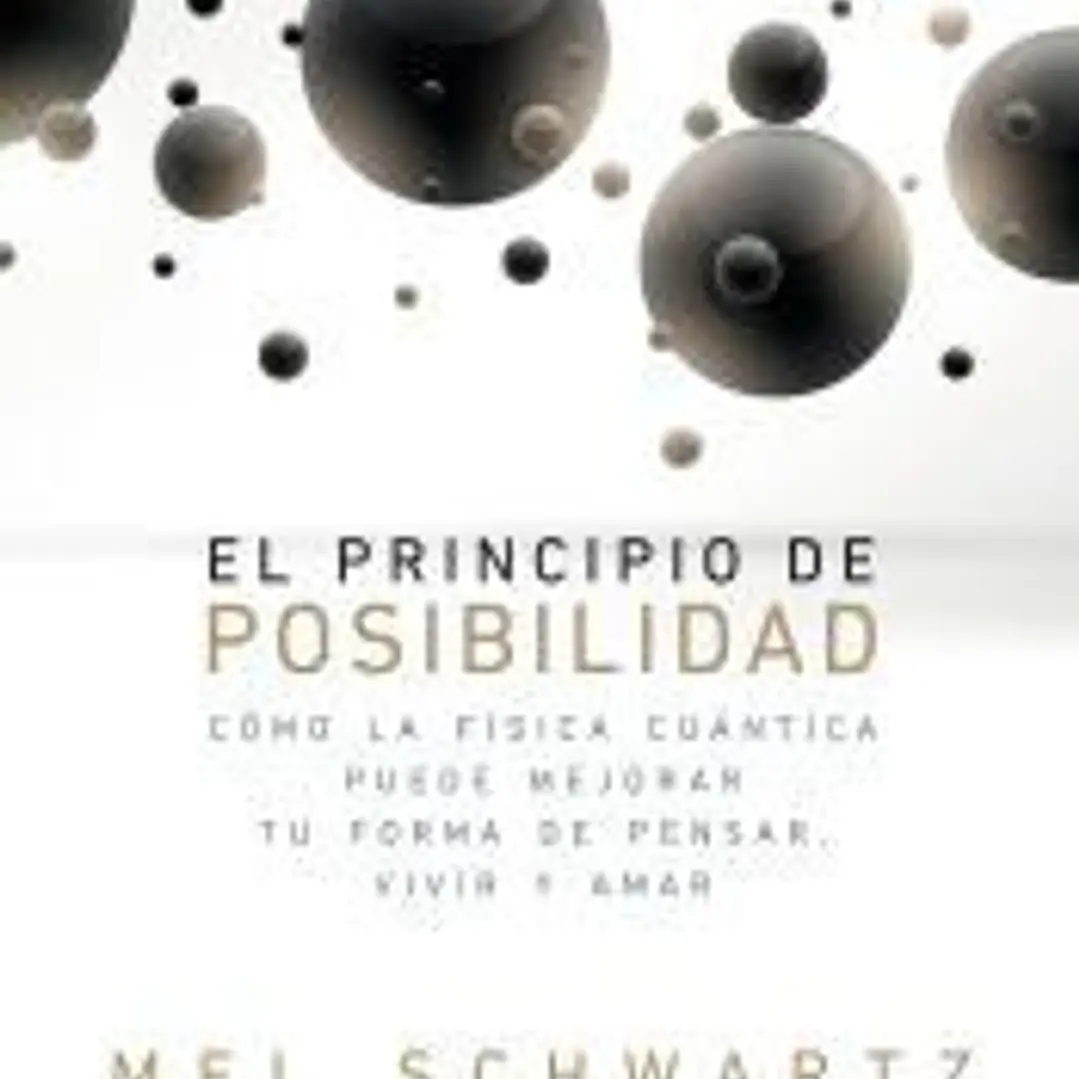 EL PRINCIPIO DE POSIBILIDAD 1