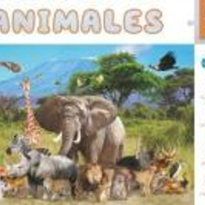 Animales 1