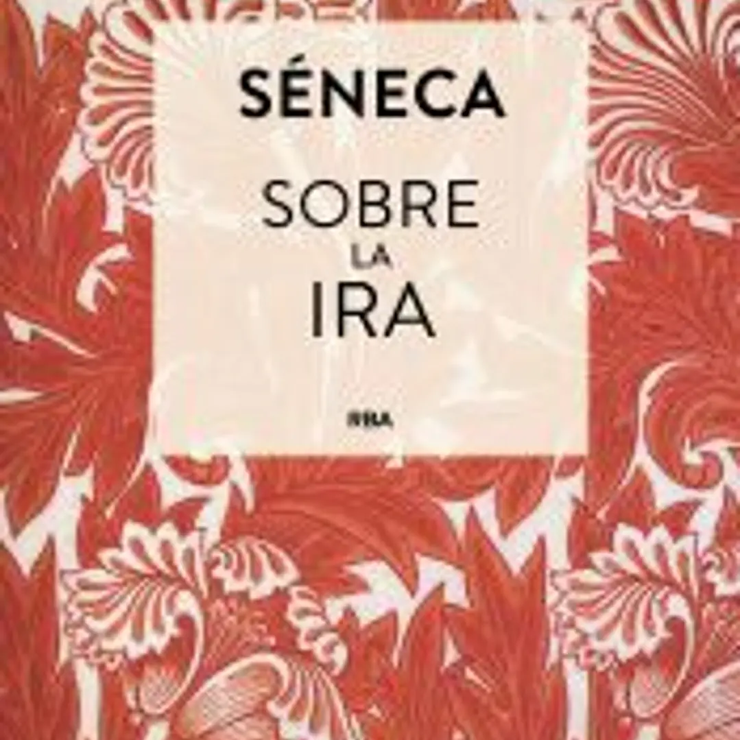 Sobre la ira 1