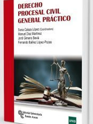 Derecho procesal civil general práctico