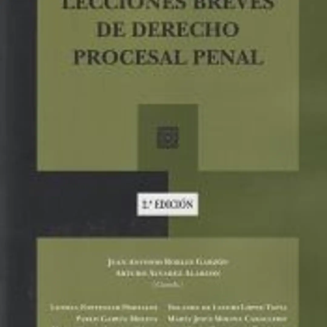 LECCIONES BREVES DE DERECHO PROCESAL PENAL 1