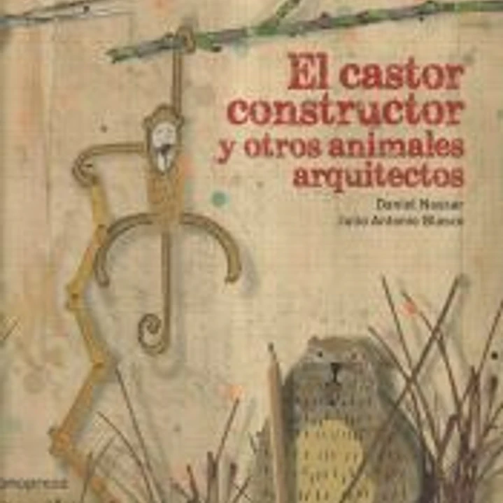 El castor constructor y otros animales arquitectos 1