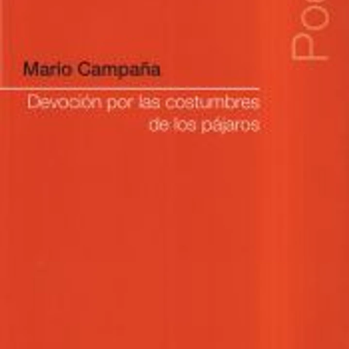 Devoción por las costumbres de los pájaros 1