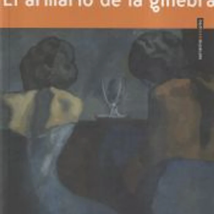 El armario de la ginebra 1