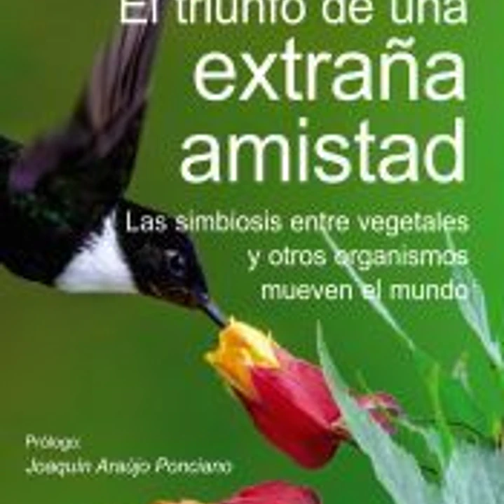 El triunfo de una extraña amistad 1