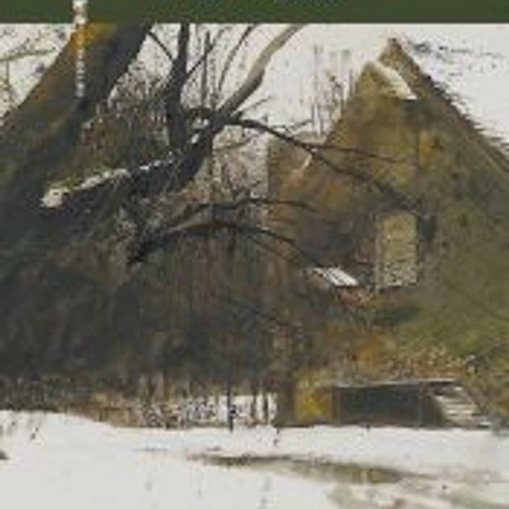 El bosque 1