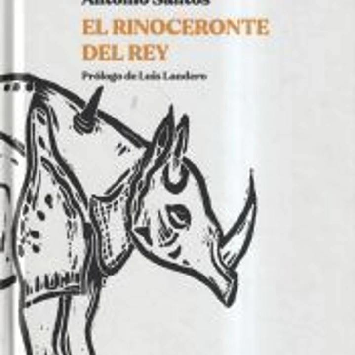 El rinoceronte del rey 1