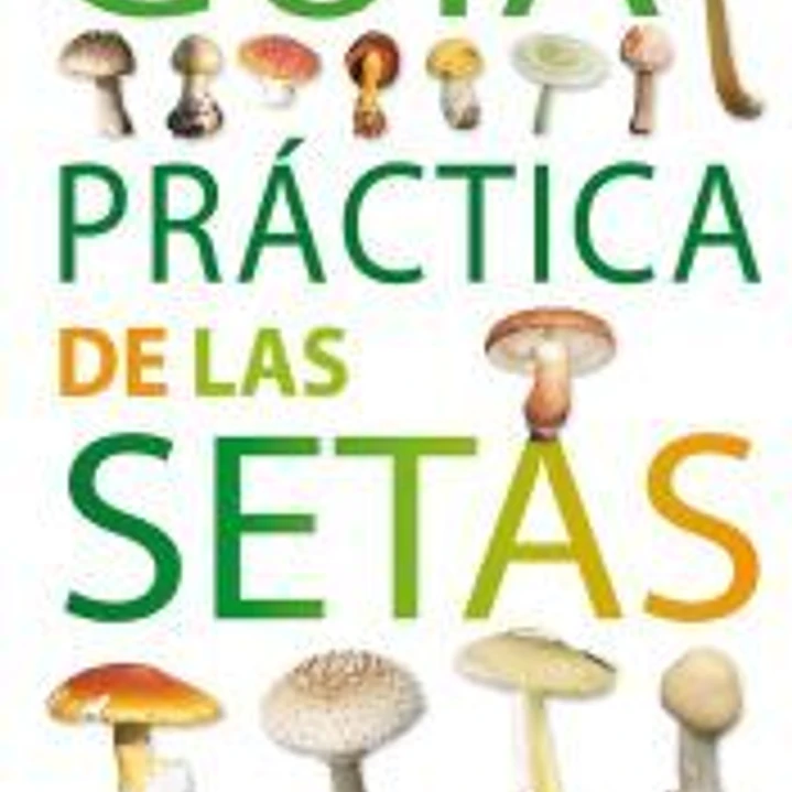 Guías Practicas. Guía práctica de las setas 1