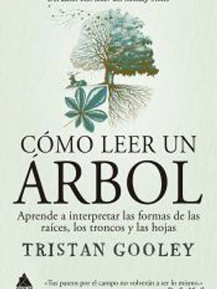 Cómo leer un árbol: aprende a interpretar las formas de las raíces, los troncos y las hojas