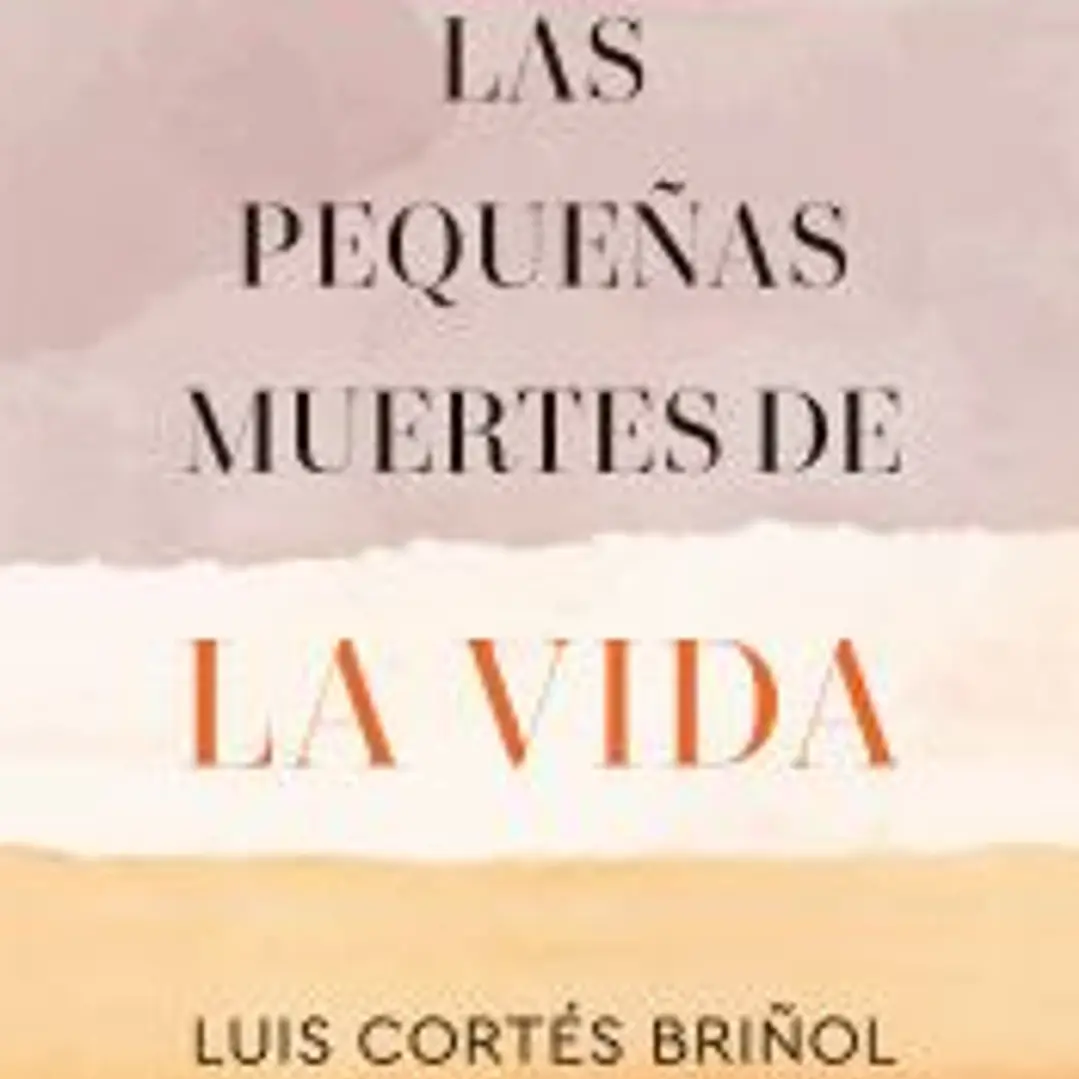 Las pequeñas muertes de la vida 1