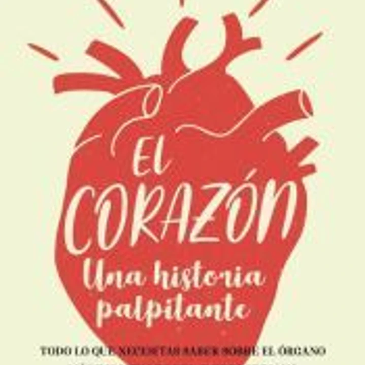El corazón 1