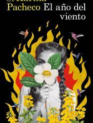 El año del viento