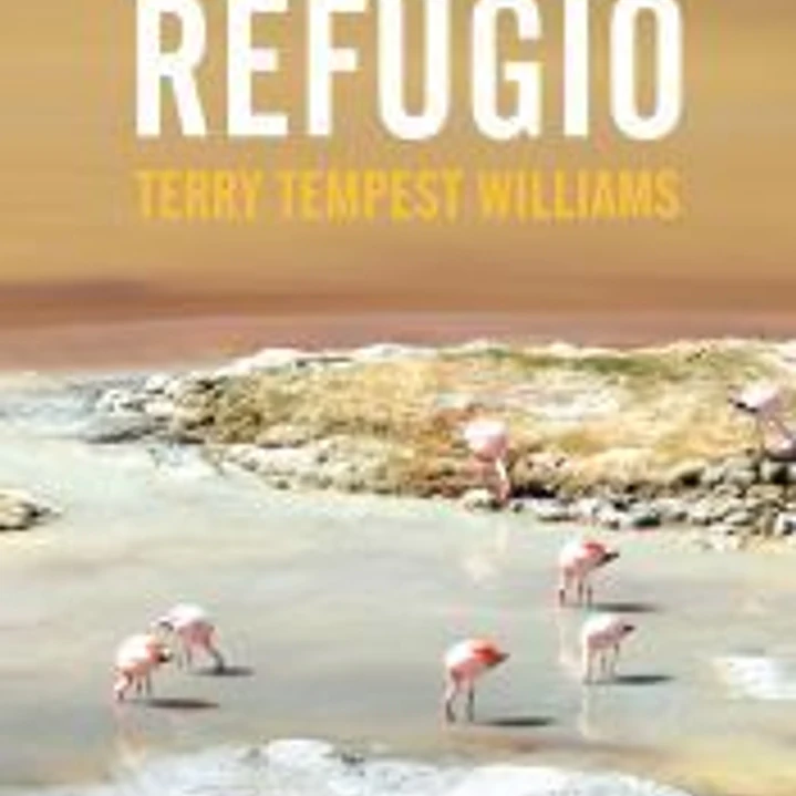 Refugio 1