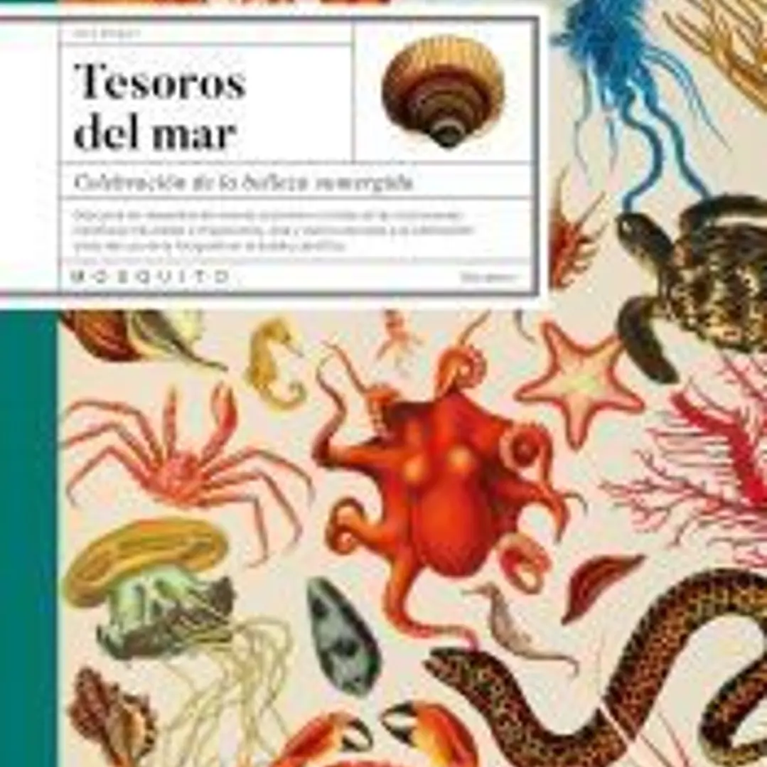 Tesoros del mar 1