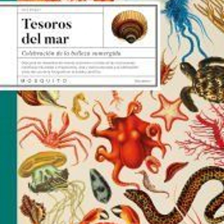 Tesoros del mar 1