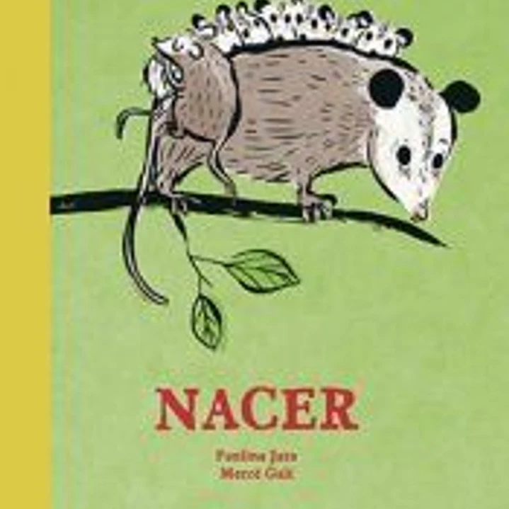 Nacer 1