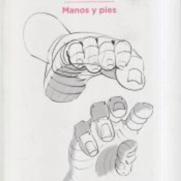 Anatomía artística 6 Manos y pies 1