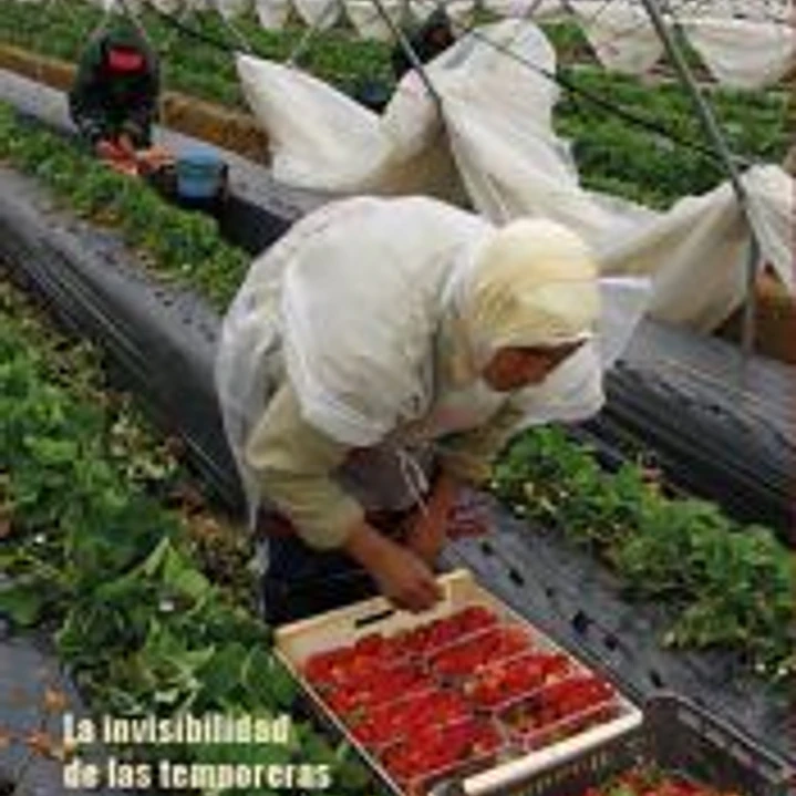 Las señoras de la fresa 1