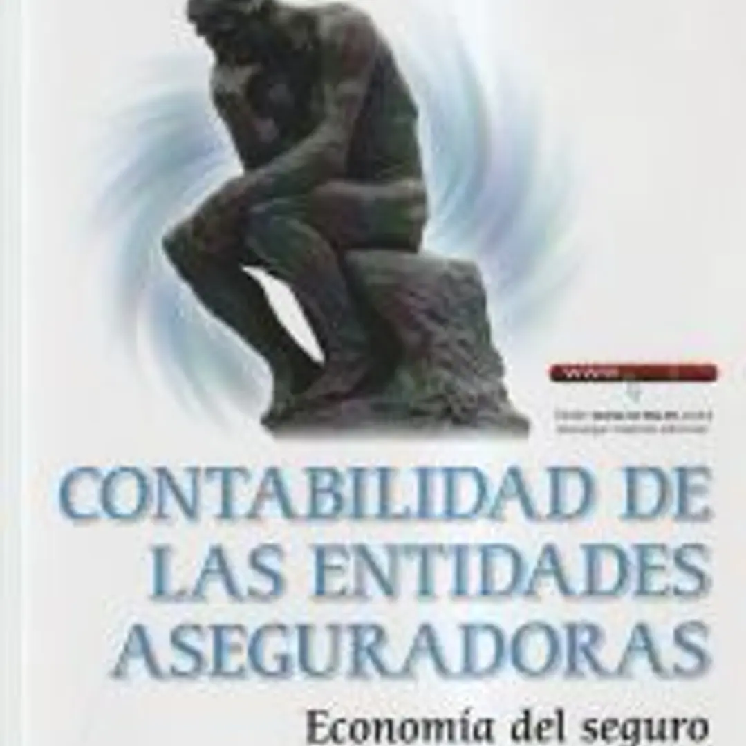 CONTABILIDAD DE LAS ENTIDADES ASEGURADORAS ECONOMIA DEL SEG 1