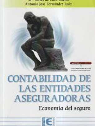 CONTABILIDAD DE LAS ENTIDADES ASEGURADORAS ECONOMIA DEL SEG